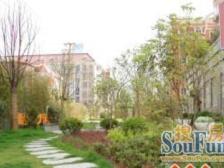 仲信苑2室2厅1卫南朝向1110.00万元/套出售