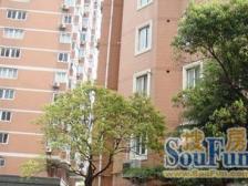 两房朝南 户型正气 采光好 带露台 视野开阔 洋房景色