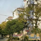 边套全明运动楼层小面积低总价