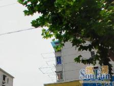 延吉四村 2室1厅 南