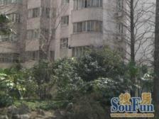 13-15号线、一楼带两个院子!近长风公园生活配套齐