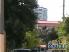 新上 交通便利 近菜场 低楼层 双南 精装修 近低铁