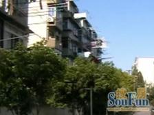 云一小区2室南朝向310.00万元/套出售