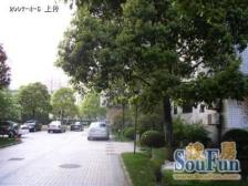 延长中路451弄 1室1厅 南