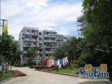 延吉二村 2室1厅 南