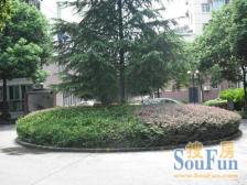 正南花苑3室2厅南北