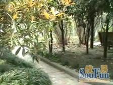 低总价,近地铁,美丽家园小区,环境好