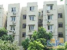 中间楼层电梯房 位置好 出行方便 私密感强