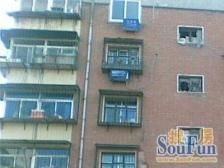 顺达公寓 2室2厅 南