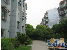 99年商品房,一梯两户,中间楼层,双南全明户型,近14号线