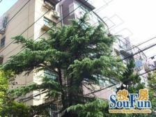 2001年竣工+一梯两户+南北通透户型 距14号线450米