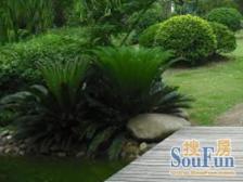 近地铁 无抵押 产权清晰,新上房源