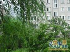 此房南北通户型,视野采光好,户型好!精装带阁楼!