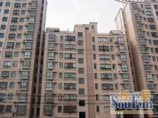 内环内,精装修,电梯房,价格是同等房子的天花板