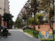 徐汇内环边 一梯两户 南北通透 全明户型 得房率高