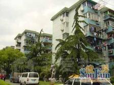 芝巷公寓,电梯小高层,采光不遮挡,南北通透,新普陀梅陇