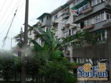 共和新路4719弄小区2室南朝向318.00万元/套出售