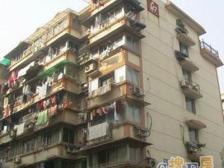 四川北路侨汇房,双轨交,11年小区,环境带会所!