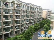 满五年,南北板式户型,复试带阁楼,视野开阔