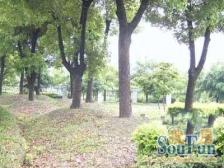 新上房源,中间楼层,诚意出售,一梯两户,视野开阔