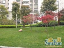 近地铁,南北通双阳台 现场实勘 总监强推