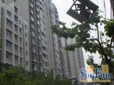 朝南大落地窗 采光视野好 新小区户型少有,看房方便