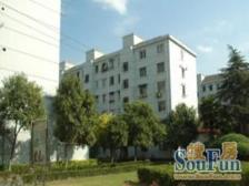 古美罗阳·平阳一村·1室·1厅