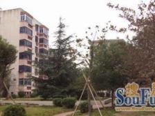 自住新精装修,顶楼复式面积大,业主急售,看房随时