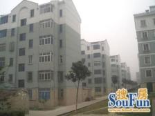 高新(虎丘)枫桥!东浜新苑北区!多层大户!赠送车库!3室2厅