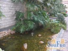 虎门沃尔玛商圈金色阳光三房满五唯一无欠款诚意出售