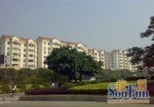 户型方正,采光好,东泰社区生活方便,配套成熟