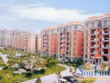 东泰花园景华苑 南向四房 户型方正实用 满五 价格可谈