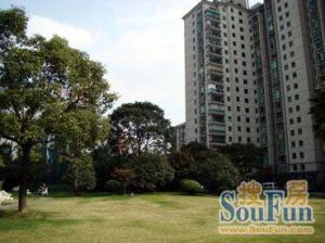 东泰花园泰华苑3室2厅南
