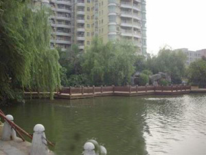 蓝月湾91平三房两卫,业主诚心出售