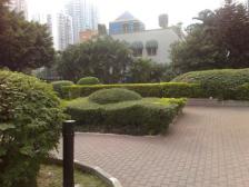 南岸路 出行便利 全明通透 配套齐全 价格可谈