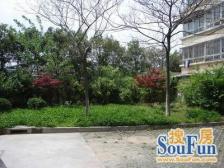 户型好 楼层好 电梯房 位置好