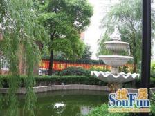 金杨·金樟花苑·2室·1厅