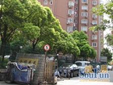 金杨·金樟花苑·3室·2厅