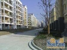 南北通双阳台 精装修可全送 两房天花板可看房