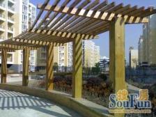 电梯房,刚需上车 新上房源