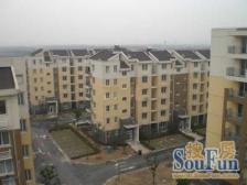 电梯房,现场实勘 随时看房,新上房源