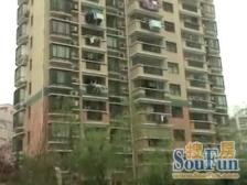 m五v一+安静且采光好位置佳看房方便+交通方便