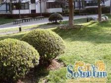 虹口龙之梦,三开间朝南,格局好,全天采光