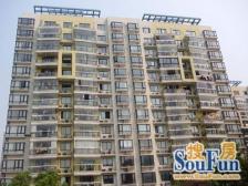 虹口龙之梦,花园城三期,小高层南北通,格局好