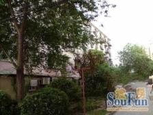 国定路700弄小区2室南朝向430.00万元/套出售