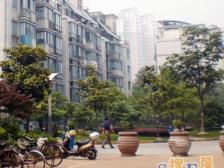 非顶楼,近地+铁,业主自住,看房方便,南北通透,采光视野好