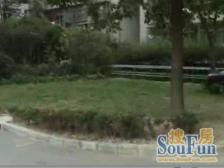 九州花园,一梯二户,双南一北,看房方便。