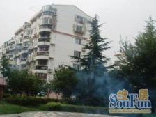 四轨交接~闹中取静~中间楼层1房1厅~税费低~价低实惠