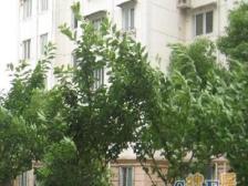 一层价格买两层!新上南北复式,带大露台!出门即地铁