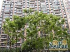 杨东·锦绣华庭·4室·2厅带车位,带车位